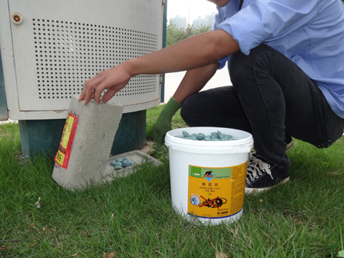 白蟻防治方法有哪些？